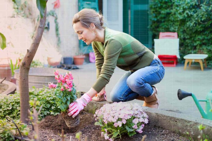 Home Gardening in US